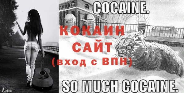 шишки Краснотурьинск