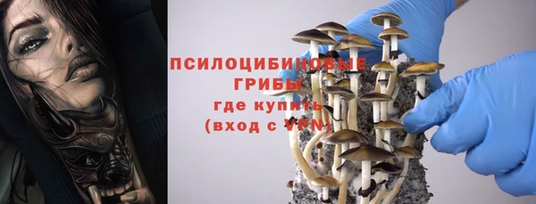 PSILOCYBIN Кукмор