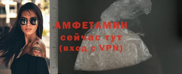 шишки Краснотурьинск